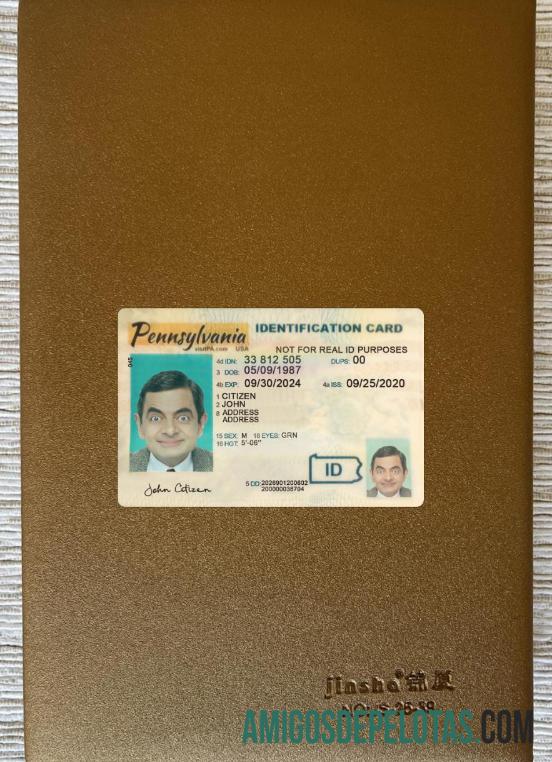 USA Pennsylvania ID Card olhar de foto frente amostra